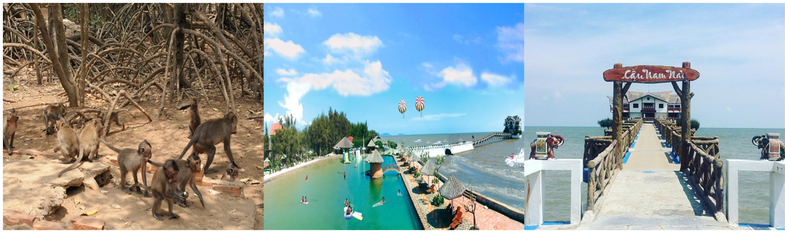 Đảo Khỉ - Lăng Cá Voi  ( Cần Giờ)