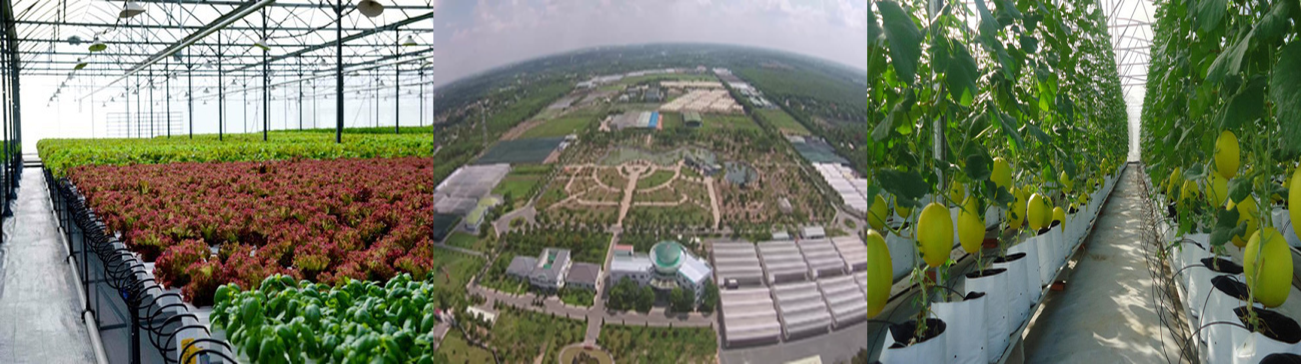 Khu Nông Ngiệp Công Nghệ Cao
