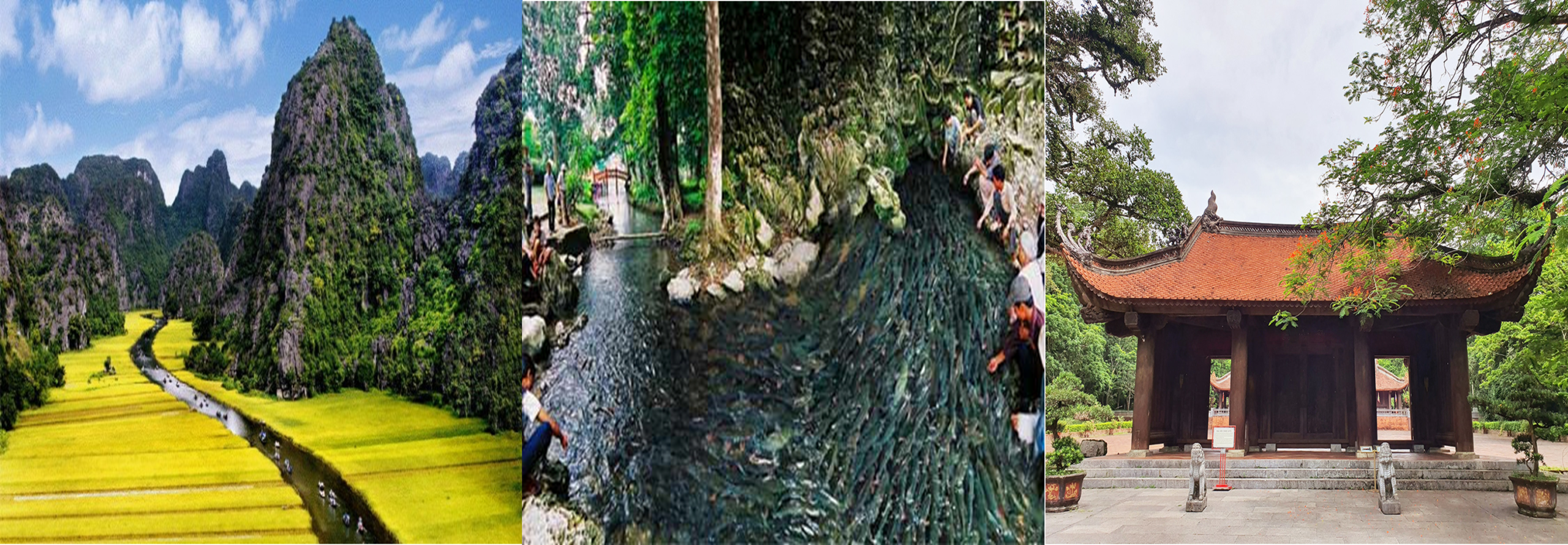 Hà Nội - Thanh Hóa - Ninh Bình (4N3Đ)