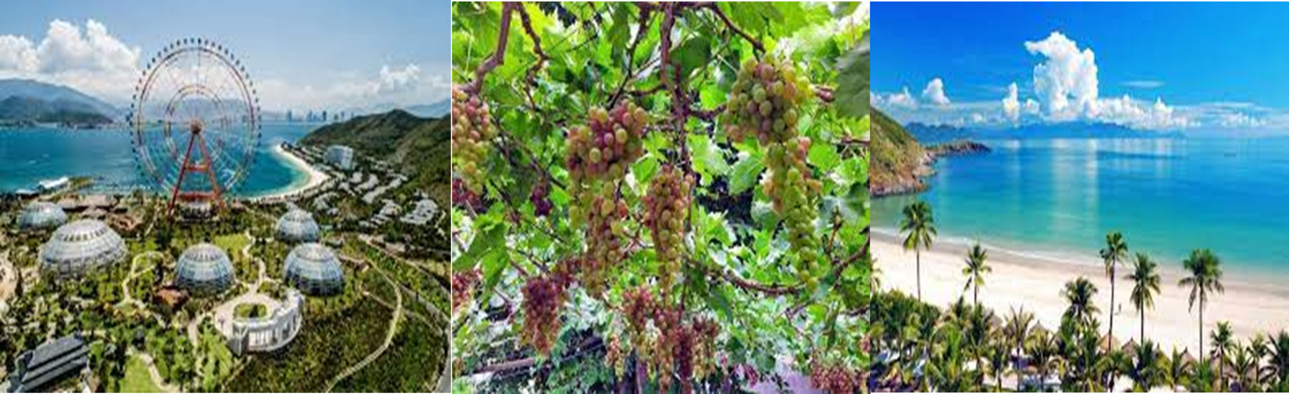 Biển Cổ Thạch - Bình Hưng - Ninh Chữ (4N3Đ)